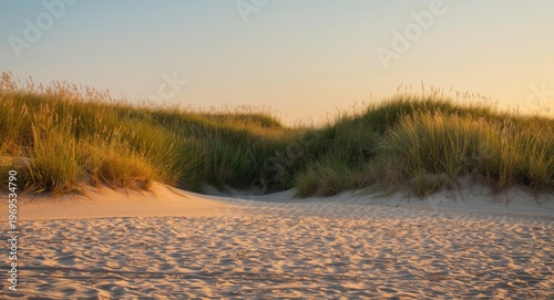 Summer evening beach scene ...