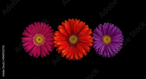 Vivid floral composition fe...