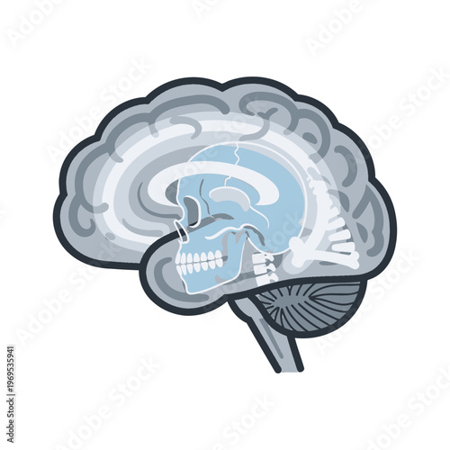 Anatomical illustration of a human brain with a skull overlay