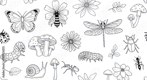 Insects and flowers line drawings.