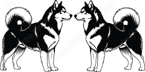 Black and white vector illustration of two Siberian Husky dogs in mirrored profile for sled dog racing and pet branding