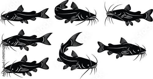 Black catfish silhouette vector collection featuring various freshwater fish swimming poses isolated on white background for fishing and aquatic nature designs.