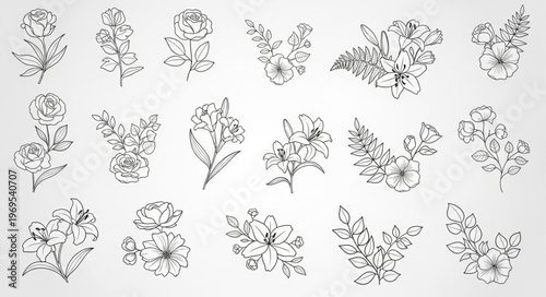 Collection of Hand-Drawn Floral Elements and Botanical Illustrations.