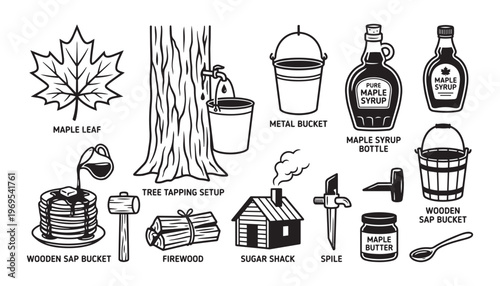 Maple syrup production process equipment vector illustration collection