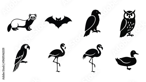 A collection of black animal silhouettes showcases a ferret bat eagle owl parrot flamingos and a duck silhouette high quality professional