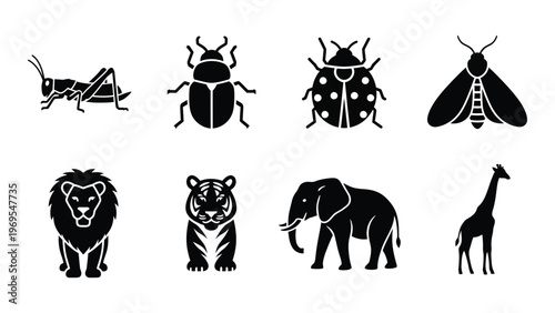 A collection of animal silhouettes including insects big cats an elephant and a giraffe silhouette high quality professional detailed modern elegant