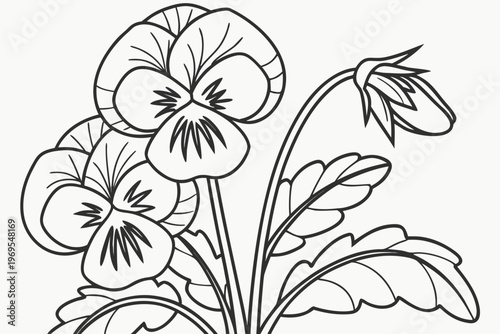 coloring page line art the pansy flower black vector