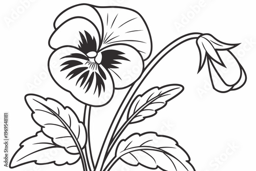 coloring page line art the pansy flower black vector