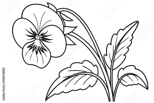 coloring page line art the pansy flower black vector