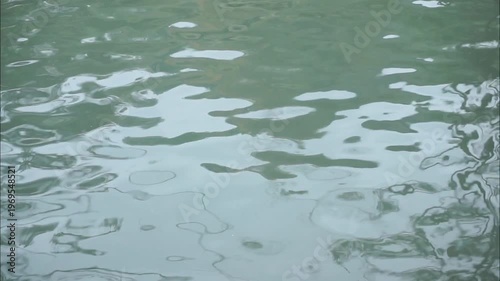 Wallpaper Mural Water surface with gentle ripples and light reflections, creating a calming natural texture. Torontodigital.ca