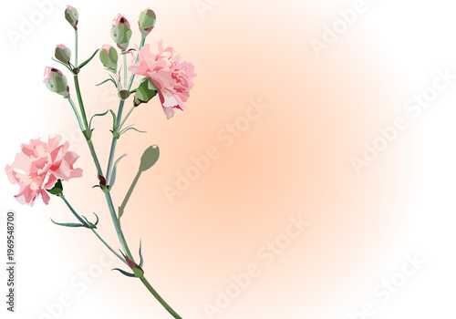 淡いオレンジのグラデーション背景に優しく咲くピンクのカーネーションと蕾を描いた母の日や感謝を表現する上品なフラワーイラスト素材