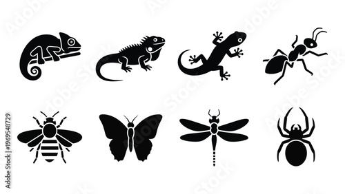 A collection of black insect and reptile silhouettes depicting various creatures like ants lizards and bees silhouette high quality professional detailed