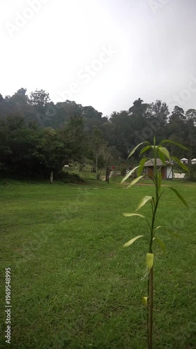 Wallpaper Mural Geothermal area with natural steam rising from the ground, surrounded by a safety fence in a green mountainous landscape. Torontodigital.ca
