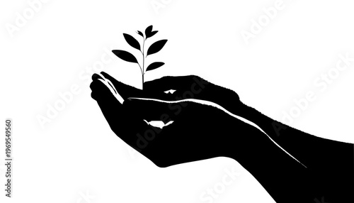 hand holding a plant