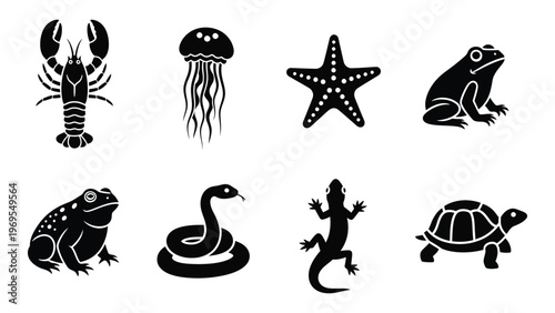 A collection of marine and terrestrial animals represented as black silhouettes including a lobster jellyfish and frogs silhouette high quality professional