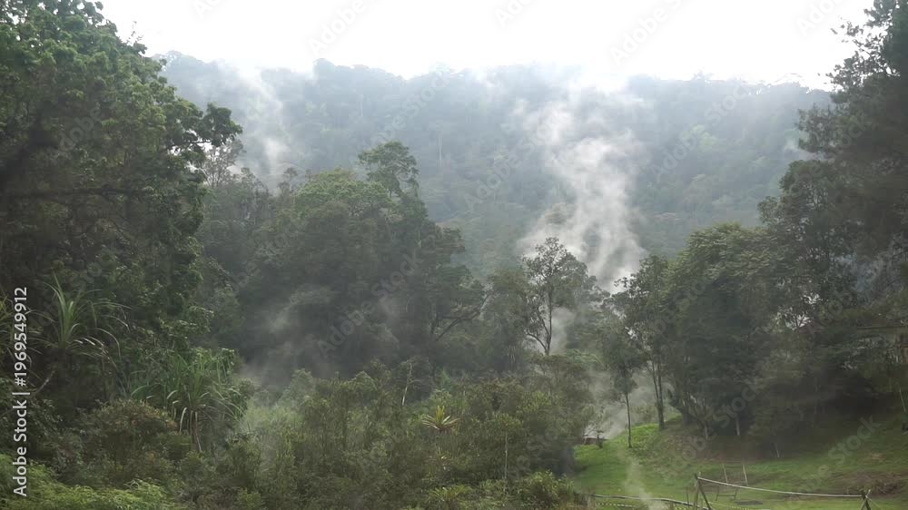 custom made wallpaper toronto digitalSteam rising from a water source in a natural environment with dense trees, concept of geothermal activity and natural beauty.