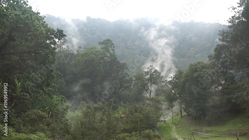 Wallpaper Mural Steam rising from a water source in a natural environment with dense trees, concept of geothermal activity and natural beauty. Torontodigital.ca