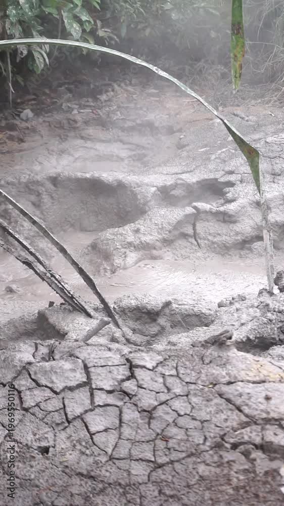 custom made wallpaper toronto digitalSteam rising from a water source in a natural environment with dense trees, concept of geothermal activity and natural beauty.