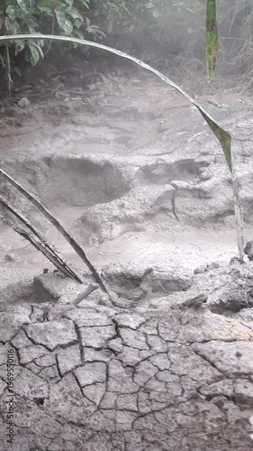 Wallpaper Mural Steam rising from a water source in a natural environment with dense trees, concept of geothermal activity and natural beauty. Torontodigital.ca