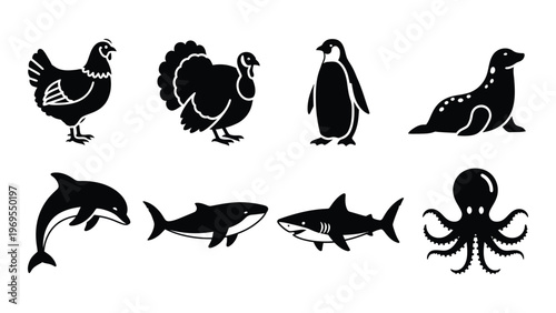 A collection of black silhouettes depicting various birds and marine animals including a chicken penguin and shark silhouette high quality professional