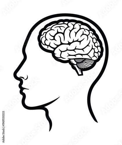 Vector of a human head showcasing the brain with a cerebral structure inside
