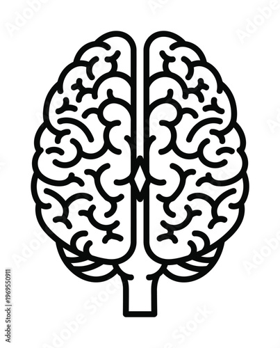 Vector of a human brain with folds and symmetrical structure in