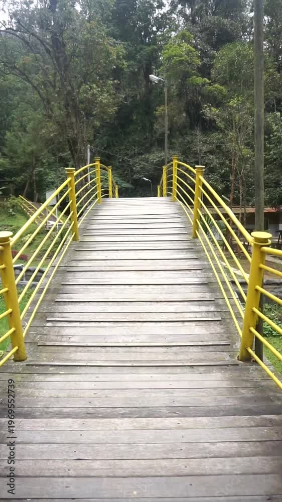 custom made wallpaper toronto digitalWalking on a wooden bridge with a yellow line in a green forest, creating a sense of adventure and natural tranquility.