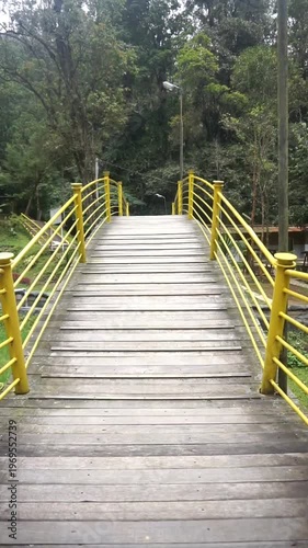 Wallpaper Mural Walking on a wooden bridge with a yellow line in a green forest, creating a sense of adventure and natural tranquility. Torontodigital.ca