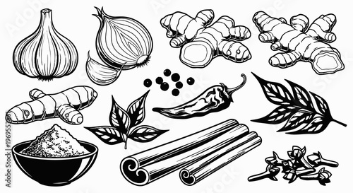 Natural Herbs and Spices Culinary Ingredients Vector