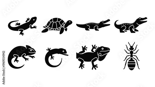 A collection of black reptile and insect silhouettes including lizards turtles crocodiles and spiders presented in a row high quality professional