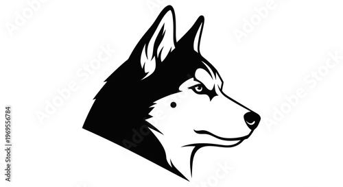 Black and white portrait of a majestic dog with piercing gaze and upright ears