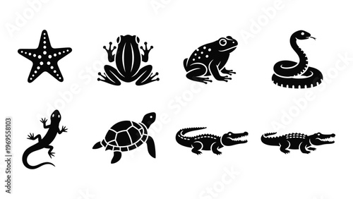 A collection of black animal silhouettes showcases a starfish frogs snake lizard turtle and crocodiles silhouette high quality professional detailed modern