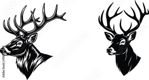 Line Art Illustration of Deer with Majestic Antlers for Wildlife and Nature Concepts