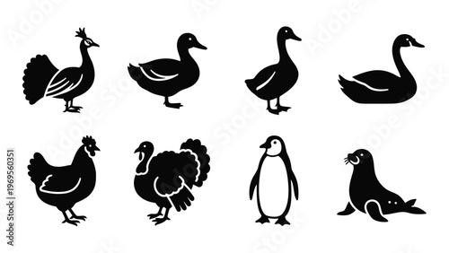 A collection of various waterfowl and birds are depicted in stark black shapes forming a captivating silhouette high quality professional detailed