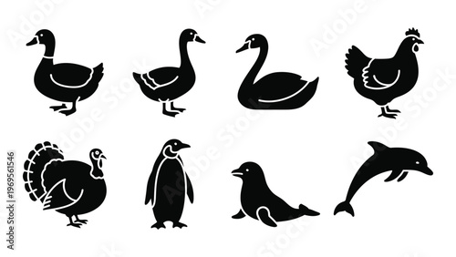 A collection of black silhouettes depicting various waterfowl poultry and marine animals showcasing diverse forms silhouette high quality professional detailed modern