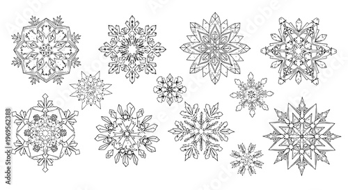 Snowflakes hand drawn set with intricate black line designs and symmetrical patterns featuring winter, frost, ice with crystal and snow elements for