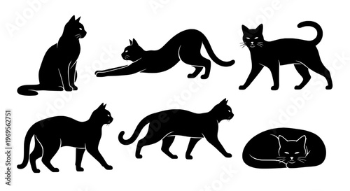 Cats silhouette set with various poses and actions featuring black, sitting, stretching with walking and standing elements for lying, sleeping