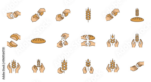 Bread Making Icons Set Wheat Harvesting Hands Kneading Dough Baking Process Agriculture Food Illustration Vector Design Symbols