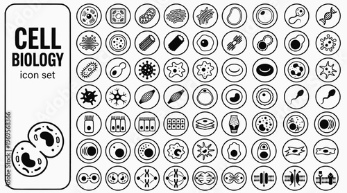 Cell Biology Bold Line Icons-Animal Cell Plant Cell Mitochondria Nucleus DNA Golgi Ribosome Vacuole Mitosis-30 Cell Biology Icon Set Vector - Biology Icons