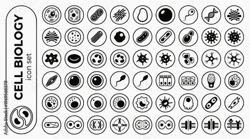 Cell Biology Bold Line Icons-Animal Cell Plant Cell Mitochondria Nucleus DNA Golgi Ribosome Vacuole Mitosis-30 Cell Biology Icon Set Vector - Biology Icons