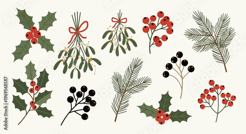 Charming Flat Vector Illustrations of Christmas Botanicals and Berries on Beige Background