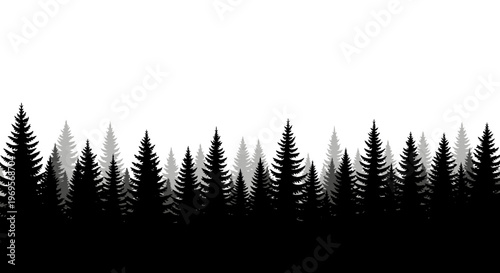 Black Silhouette of Pine Trees in a Forest Against a White Background