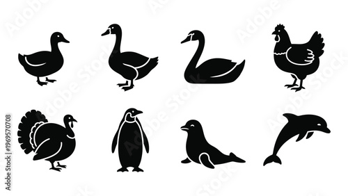 A collection of various waterfowl and marine animals depicted in a minimalist black style silhouette high quality professional detailed modern elegant