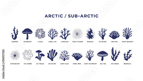 Arctic and sub arctic plant silhouettes for climate change concept vector graphics