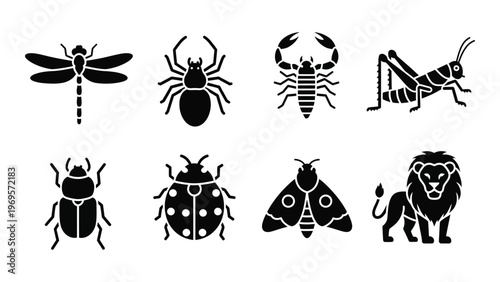 A collection of black insect and animal silhouettes including a dragonfly spider scorpion and lion silhouette high quality professional detailed modern