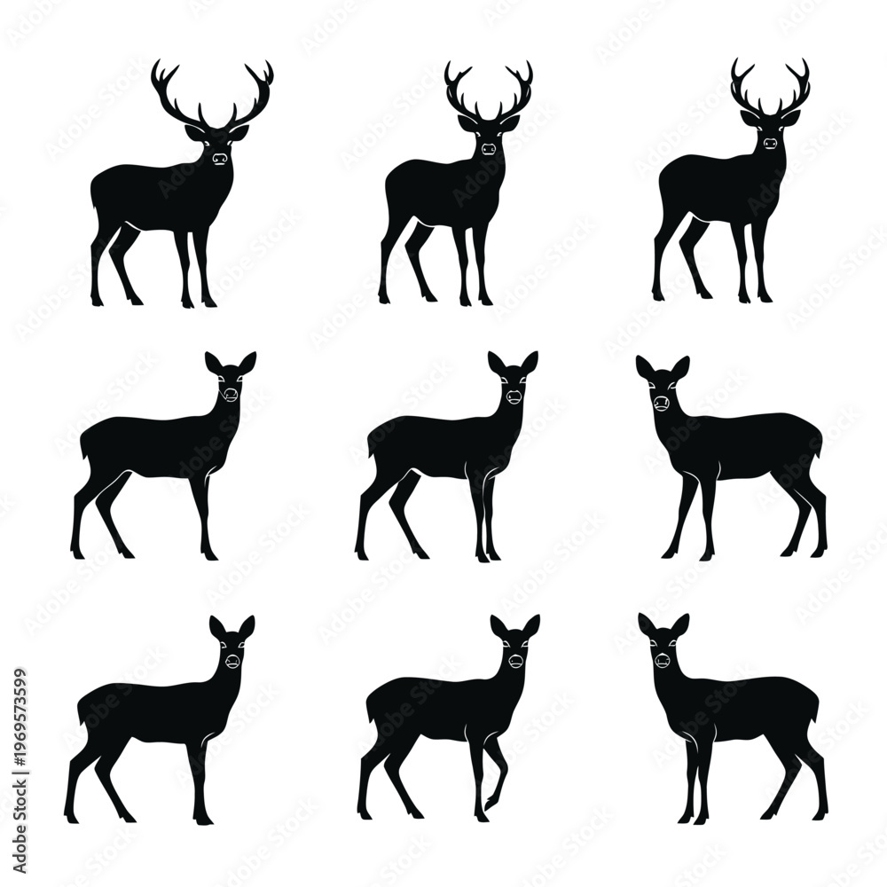 Fototapeta premium Deer silhouettes in various poses standing.