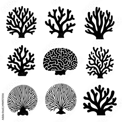 Coral reef silhouettes in black.