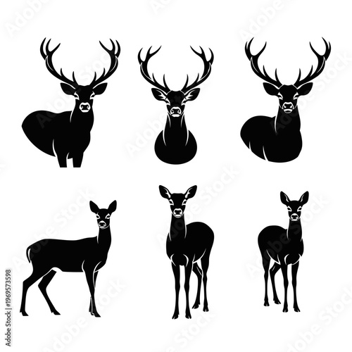 Deer Silhouettes with Antlers and Fawns.