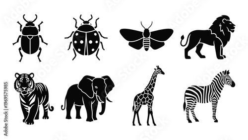 A collection of diverse animal silhouettes including insects mammals and a giraffe presented in a stark black style silhouette high quality