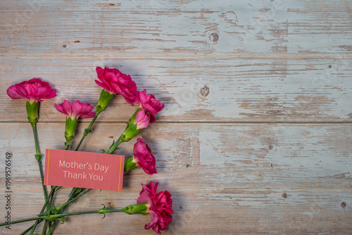木目背景のカーネーション